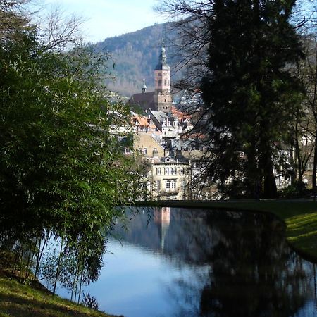 Ferienwohnung Am Krippenhof Baden-Baden Exterior foto