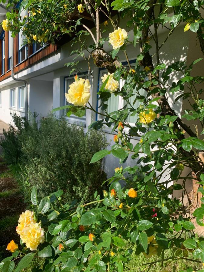Ferienwohnung Am Krippenhof Baden-Baden Exterior foto