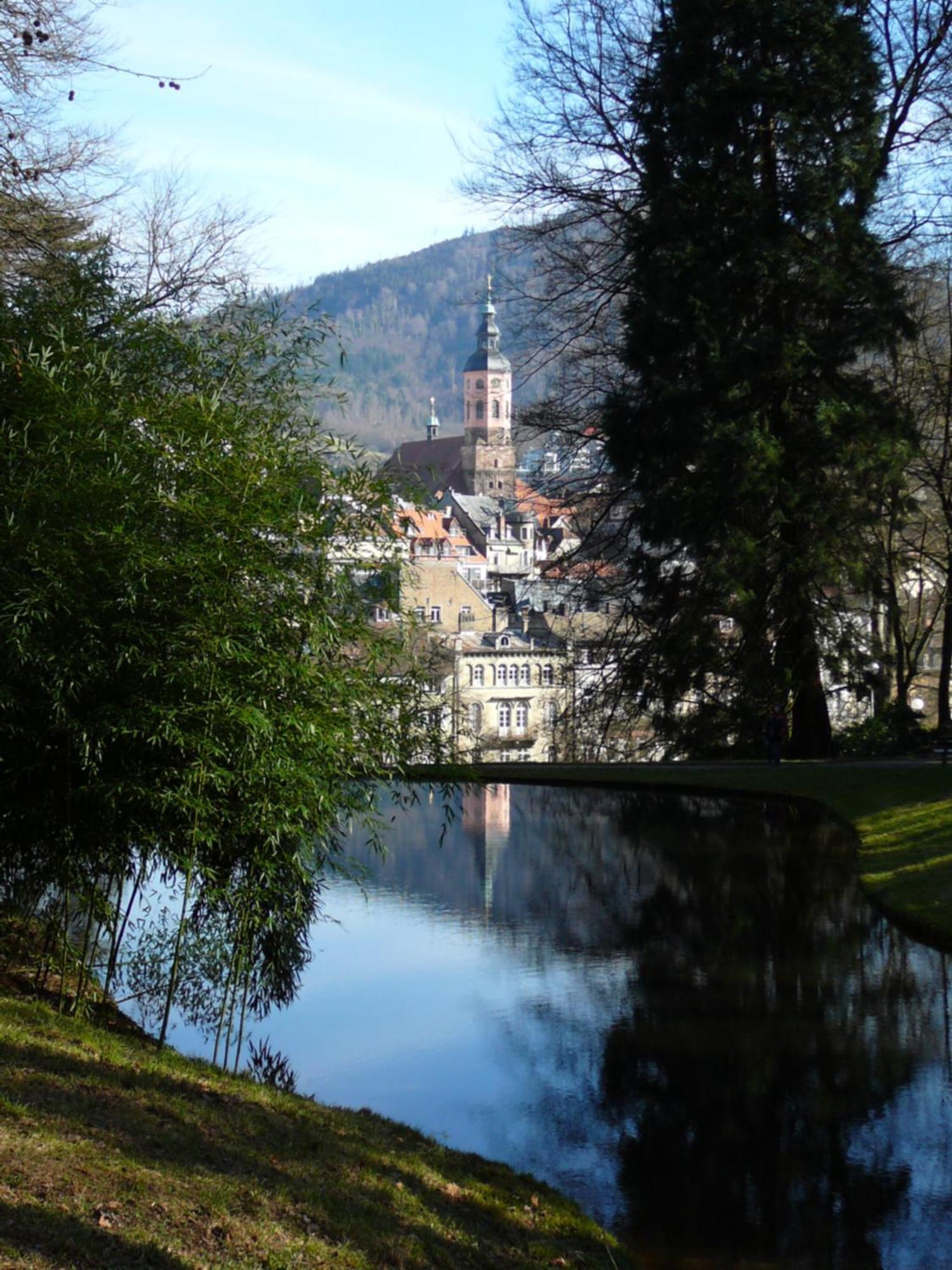 Ferienwohnung Am Krippenhof Baden-Baden Exterior foto